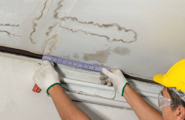 Reliable Basement Water Removal contractor in Holt, MI by Water Damage Irwin